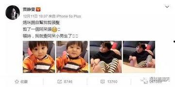 娱乐吃瓜酱招人烦,揭秘“吃瓜酱”为何成为众矢之的