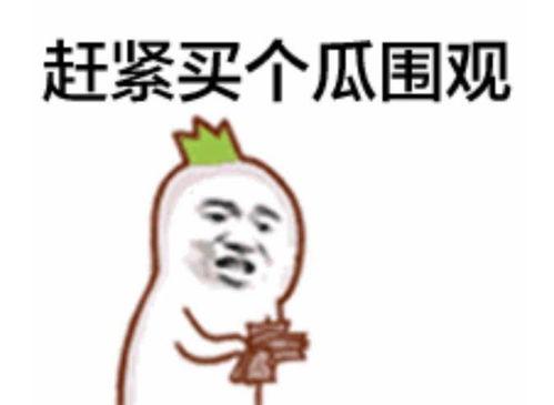 娱乐吃瓜小群众百家号,热门话题追踪与自媒体影响力分析