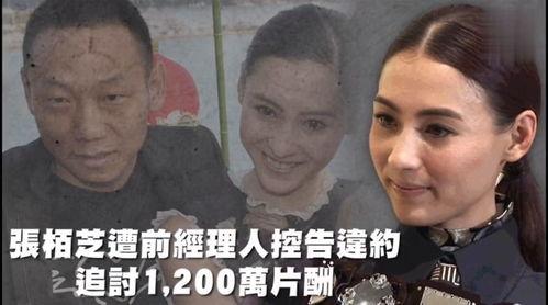今日娱乐吃瓜大盘,恋情、短剧、电影市场风云再起
