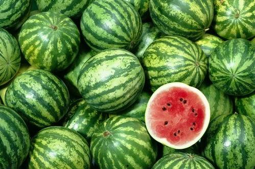 吃瓜娱乐人的主页在哪找,吃瓜娱乐人主页寻踪记