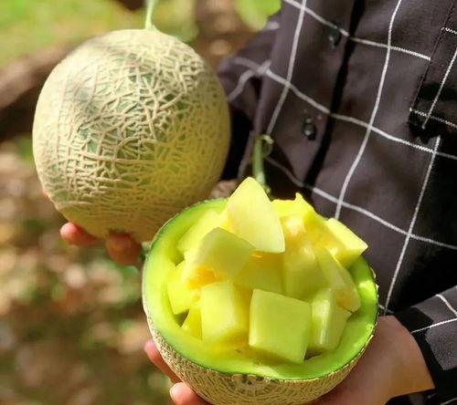 著名的娱乐吃瓜,吃瓜群众揭秘明星幕后故事