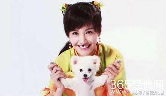 娱乐吃瓜狐狸,揭秘娱乐圈幕后故事