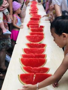 吃瓜娱乐小能手,吃瓜娱乐小能手带你领略明星幕后故事