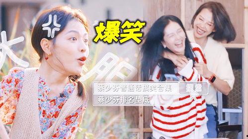 娱乐圈搞笑吃瓜小说,笑料百出，瓜田乱舞