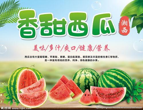 吃瓜娱乐封面设计图片高清,揭秘高清封面背后的娱乐风云