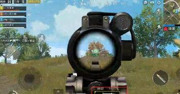 娱乐大瓜在线吃鸡游戏,在线吃鸡游戏，畅享欢乐竞技盛宴