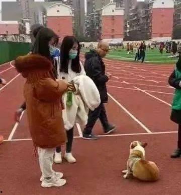 娱乐吃瓜酱操场,揭秘操场背后的那些事儿