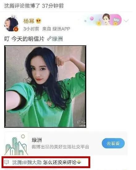 娱乐圈吃瓜网站叫什么