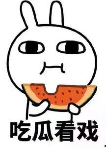 娱乐吃瓜酱算什么