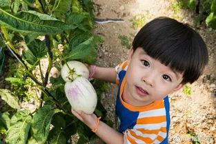 吃瓜娱乐木木子